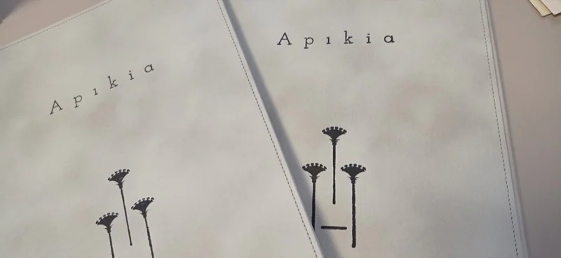 Δερματίνες, Folders & Ημερολόγια